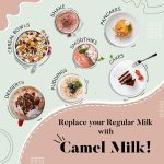 KHALI Milky Dunes | Camel Milk Powder | Bourbon Chocolate | 300gms | 10.58 Oz - Image 5